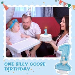 Charming Blue Goose 1st Birthday Candle – Long Burning & Cute Cake Topper