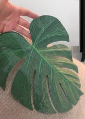 48-PC Large 11″x13″ Tropical Monstera Leaves Polyester Luau Beach Decor #647