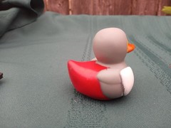 Medieval KNIGHT Rubber Duckies – Choose your Favorite! FREE SHIPPING!