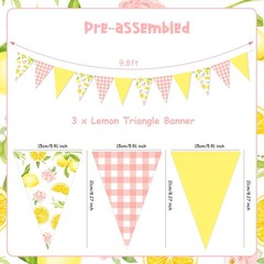 Lemon Party Decorations – 3PCS Lemon Bunting Banners, Pink and Yellow Lemon T…