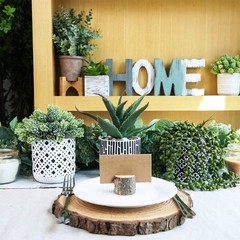 Winlyn 3 Pcs Small Potted Succulents 5.9″-7.4″ Wide and 7″-11″ Tall, Green