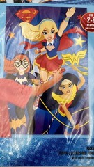 DC Super Hero Girls Party Game Warner Brothers Birthday Party Decorations New