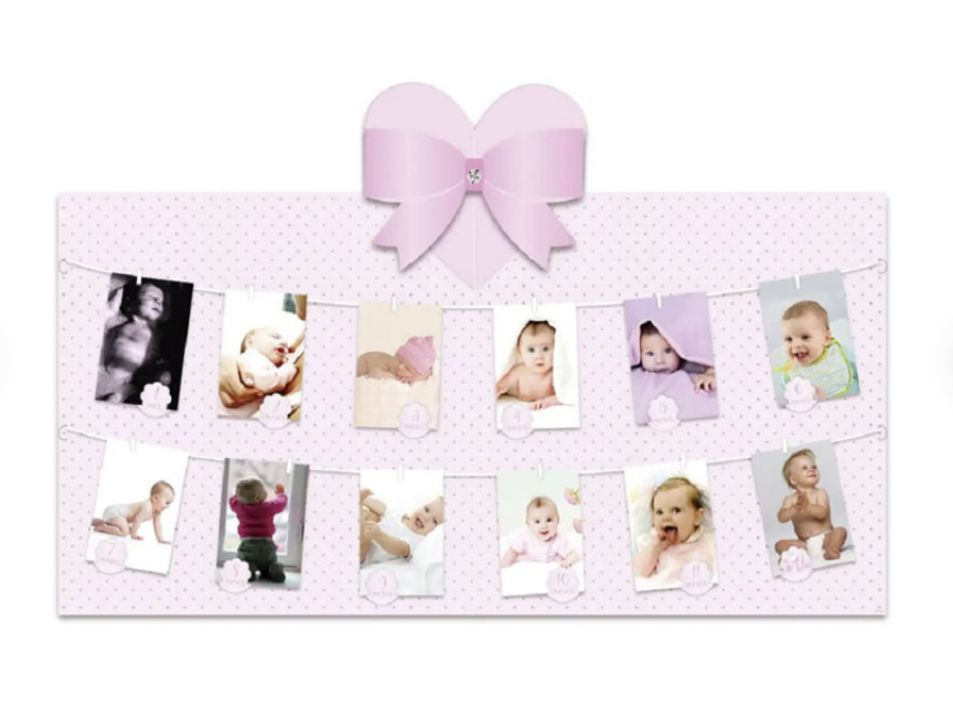 Ballerina Party 12 Month Photo Panel / Ballet Party / Girl 1st Birthday