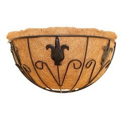 Trendy Iron Wall Mounted Pot for Small Space Greenery and For Stylish Decor
