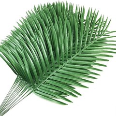 Antspirit Depth: 13 inches, Width: 5 Height: 1 inch, Light Green