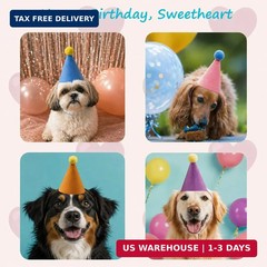 Mini Party Hats for Stuffed Animals 6 Pcs Colorful Cute Birthday Party Cone Hats
