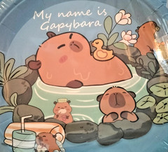 Capybara Birthday Tableware Decorations, 10pack plates, 20pack napkins Animal