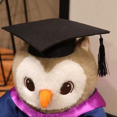 Graduation Owl Plush Toy Stuffed Animal with Cap and Gown for Grad Gift