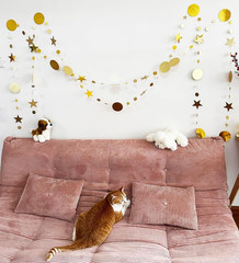 （48Pcs 156Inch） * 3 String Twinkle Little Star Party Garlands Glitter Hanging Mo