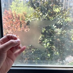 Holographic Window Decals for Bird Strikes – Glass Reminder Clear