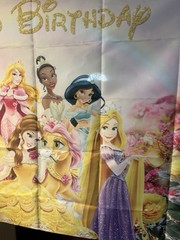 Disney PRINCESS hanging Backdrop~5ftx3ft~Happy birthday~vibrant Colors