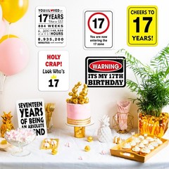 17th Birthday Party Decorations – 9PCS Wall Signs Funny Tags for Teenagers 17…