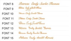 Personalized Wedding Place Cards Acrylic Table Name Calligraphy Wedding Any Font
