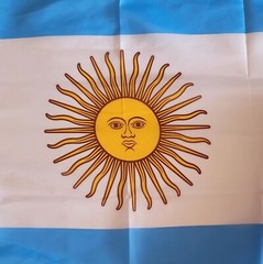 Argentina flag birthday party decoration soccer sports decor set of 4