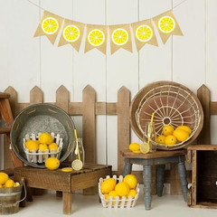 Burlap Lemon Banner Garland Lemon Themed Hanging Bunting Party Decor, Lemonade S