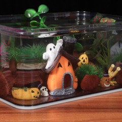 5PCS Fish Tank Decor Halloween Betta Holiday Decorations Pumpkin House