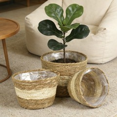 3 Piece Lined Wicker Plant Basket Set 18 22 25 cm Natural Seagrass Decor