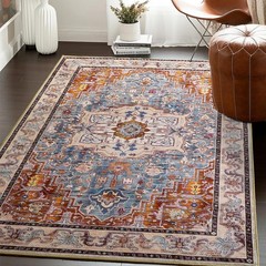 Washable Area Rugs 5×7, Low Pile Soft Vitnage Distressed Rug for Be… Fast Ship