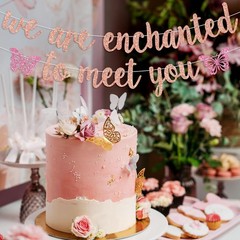 We’re Enchanted to Meet You Banner, Sweet Baby Shower Bunting Sign, Welcome B…