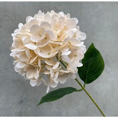 Artificial Flowers Fake Silk Hydrangea Bridal Clearance Wedding Decoration