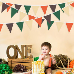 32Ft Orange Green Brown Party Decorations Triangle Flag Pennant Bunting Fabric G