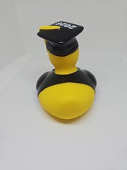 2026 Graduation Rubber Duck/You Did It-2026 GRAD
