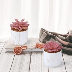 ZENIDA Succulent Artificial Plants,Cute Fake 2.2″ x 2.4″ x 3.3″, White