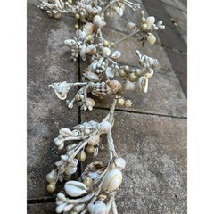 Seashell garlands Coastal Shell wire decor nautical natural marine beach ocean 2