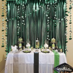 Graduation Decorations Class of 2026 Green Tinsel Foil Fringe Curtain Backdro…