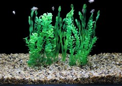 AQUANEAT Artificial Fish Tank Plants, Green 11.8 x 2.96 x inches,