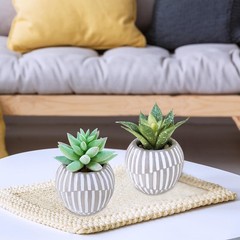 Winlyn Set of 3 Artificial Succulents Plants in Mini Gray and White Pots