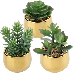 Briful Small Artificial Succulents in Pots Set of 3 Realistic Faux Style #09