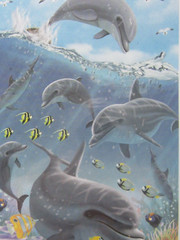 Dolphins Fish Blue Tropical 42″x72″ Pkg Plastic Wall/Door Mural Decoration New