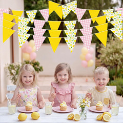 6PCS Lemon Party Decorations Pennant Banners Pink and Yellow Triangle Flags Garl