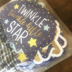TWINKLE TWINKLE LITTLE STORE BABY SHOWER THEME/BABY ANNOUNCEMENT PHOTO PROPS