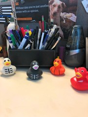 Funiverse 24 Pack Halloween Jeep Rubber Ducky Assortment – Perfect Trick or T…
