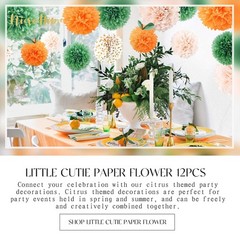 Little Cutie Baby Shower Decorations 12 PCS Light Orange Green Pom Poms
