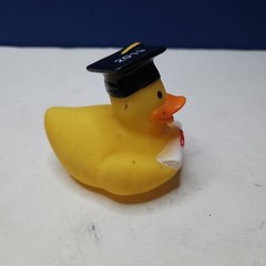 2019 Rubber Duck Cap & Tassel w/ Diploma 3″