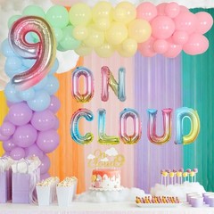 On Cloud 9 Decorations for Girls Pastel Rainbow Balloon Garland Arch Kit On C…