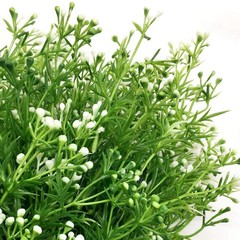 CATTREE Artificial Plants, Faux Plastic Pearl 13.5 inches, Grass-4pcs