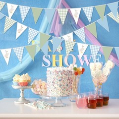 5 Pcs Silly Goose Party Decorations Blue Green Gingham Print Pennant Banners …
