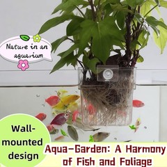 ARREBOL 2 Pack Clear Aquarium Plant Holder Top Hanging Fish Tank Plant Holders F
