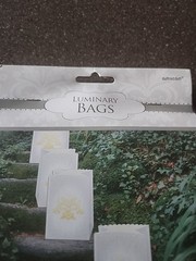 Luminary Bags Amscan 24 Pcs Wedding Baptism Party OutdoorDecorating NEW Holiday