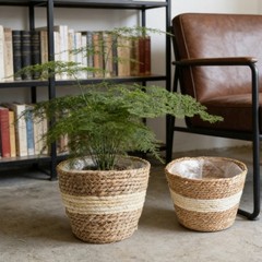 3 Piece Lined Wicker Plant Basket Set 18 22 25 cm Natural Seagrass Decor