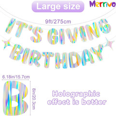 Iridescent It’S Giving Birthday Banner, Pre-Strung Fun Birthday Decorations Supp