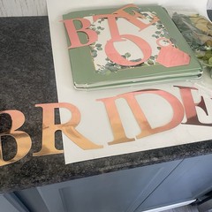 Bridal Shower Party Decorations Kit Rose Gold Green Eucalyptus Balloons Cube Box