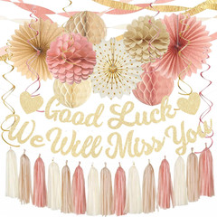 Boho Pink Farewell Party Decorations Women, Good Luck We Will Miss You Banner Cr