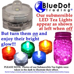 ORANGE LED Beverage Tub Submersible Lights Rave Party Fun Wild Novelty Set of 12