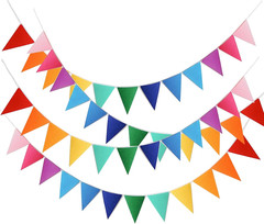 48Pcs Rainbow Pennant Banner, Triangle Bunting Flag Banners for Birthday Party D
