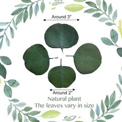 300+ Pcs Dried Real Eucalyptus Leaves, Rustic Boho Wedding Table Decor, 100% …